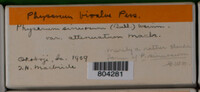 Image Associated With the Occurence